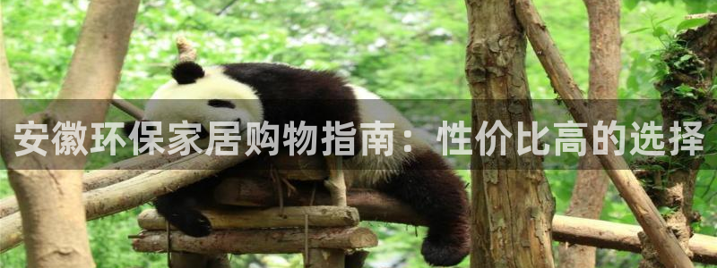 意昂5(KGAME)平台测：安徽环保家居购物指南：性价比高的