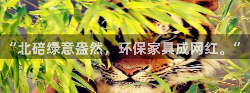 意昂5(KGAME)平台代理注册多少钱：“北碚绿意盎然，环保