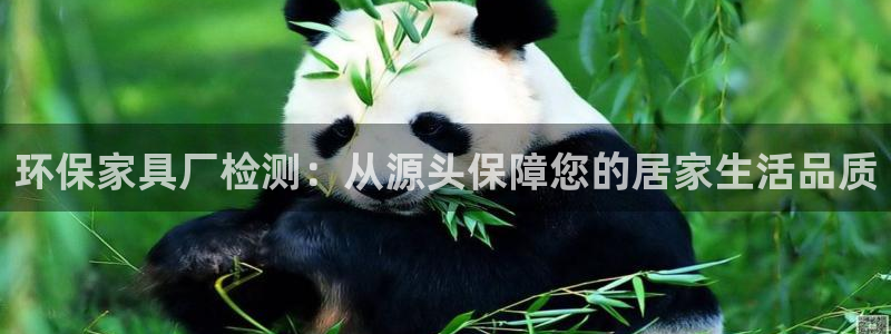意昂5(KGAME)平台已注册入口：环保家具厂检测：从源头保