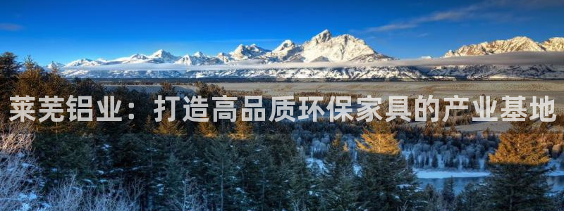 意昂5(KGAME)登陆测速：莱芜铝业：打造高品质环保家具的