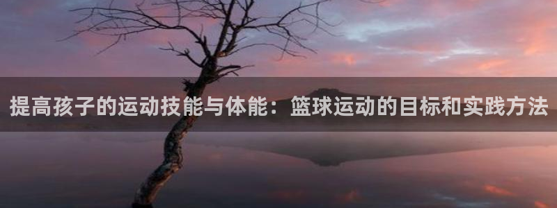 熊猫体育官网：提高孩子的运动技能与体能：篮球运动的目标和实践方法