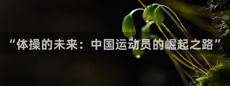 熊猫体育app官网入口：“体操的未来：中国运动员的崛起之路”