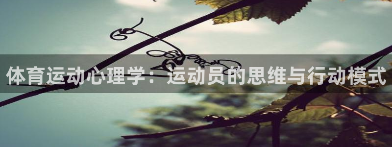 熊猫体育网站：体育运动心理学：运动员的思维与行动模式