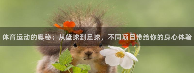 下载熊猫体育：体育运动的奥秘：从篮球到足球，不同项目带给你的身心体验
