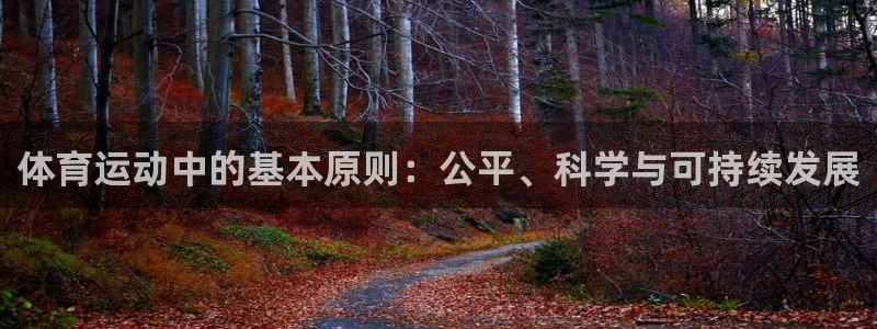 熊猫体育网站：体育运动中的基本原则：公平、科学与可持续发展