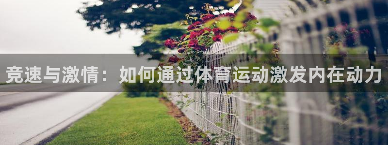 熊猫体育免费下载：竞速与激情：如何通过体育运动激发内在动力