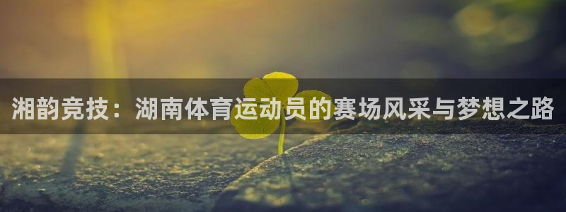 熊猫体育在线：湘韵竞技：湖南体育运动员的赛场风采与梦想之路