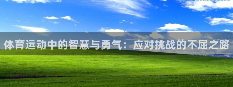 熊猫体育在线：体育运动中的智慧与勇气：应对挑战的不屈之路