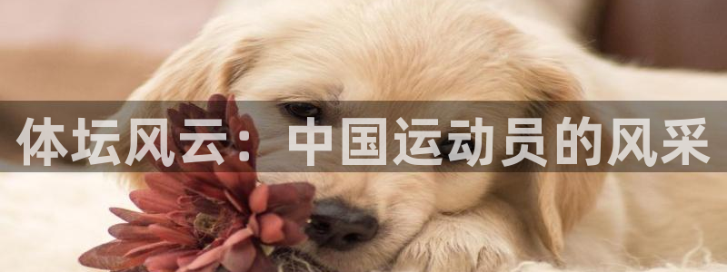 熊猫体育网站：体坛风云：中国运动员的风采