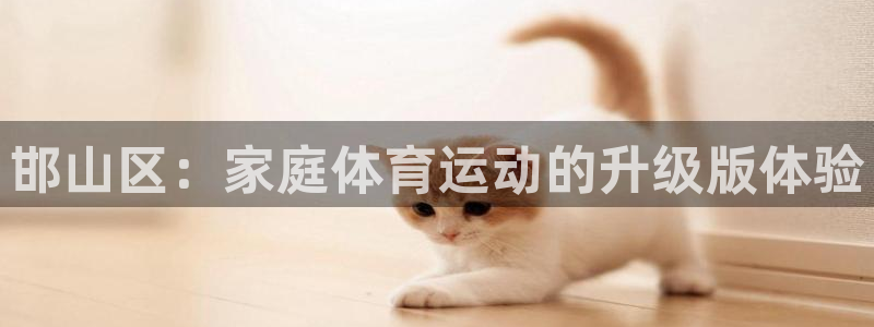 下载熊猫体育：邯山区：家庭体育运动的升级版体验