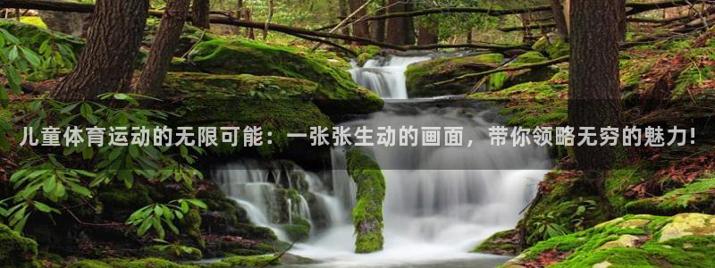 动感熊猫体育公园：儿童体育运动的无限可能：一张张生动的画面，带你领略无穷的魅力!
