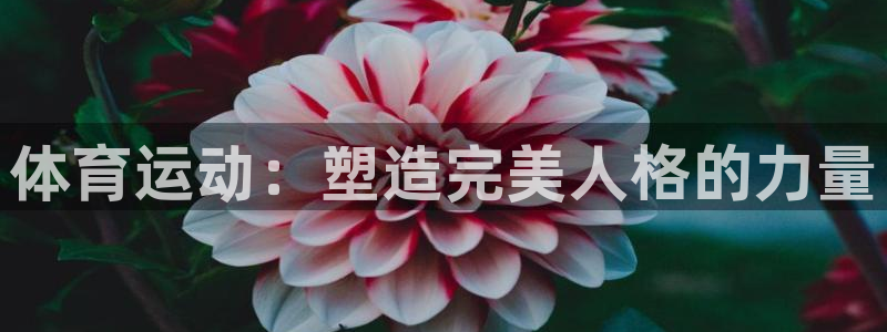 熊猫体育手机版下载：体育运动：塑造完美人格的力量