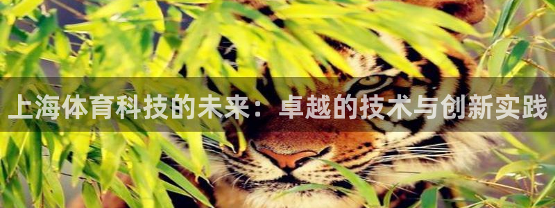成都熊猫体育公园：上海体育科技的未来：卓越的技术与创新实践